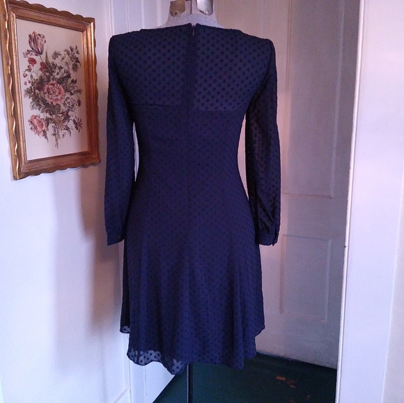 J. CREW Navy Blue Polka Dot Dress with Sheer sleeves - Picture 4 of 6